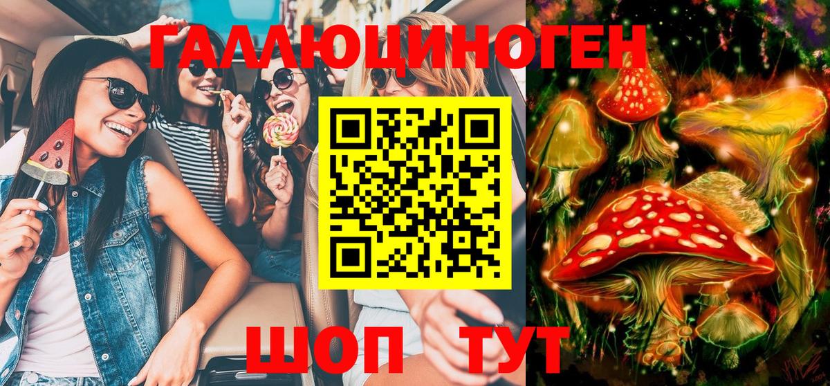 Галлюциногенные грибы Psilocybe Кулебаки